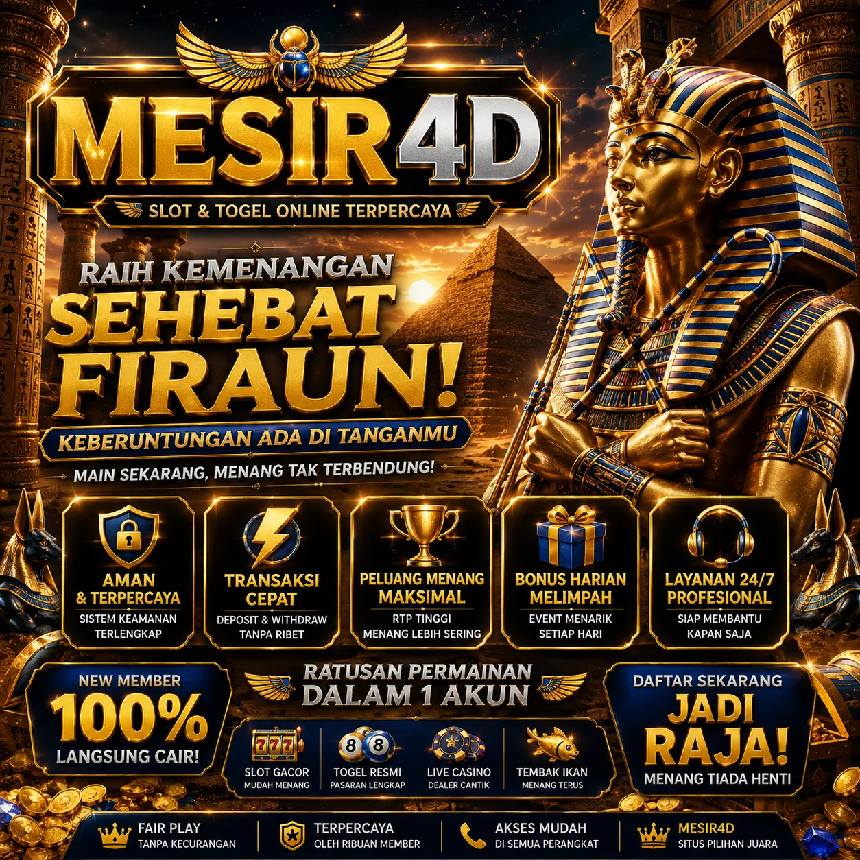 MESIR4D